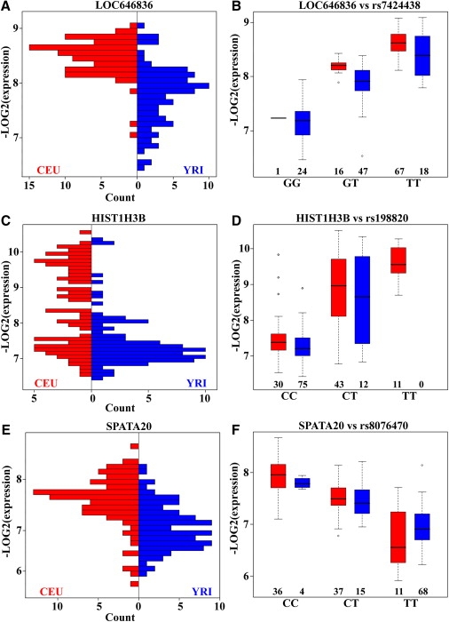 Figure 3