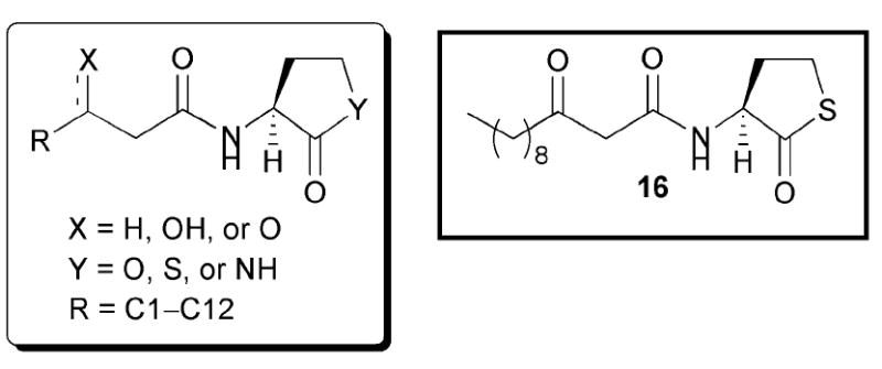 Fig. 11