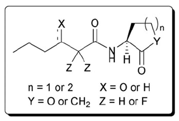 Fig. 20