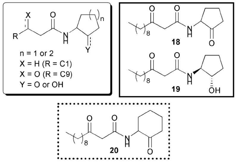 Fig. 13