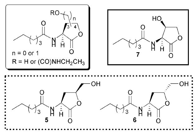 Fig. 7