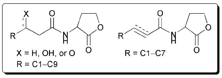 Fig. 17