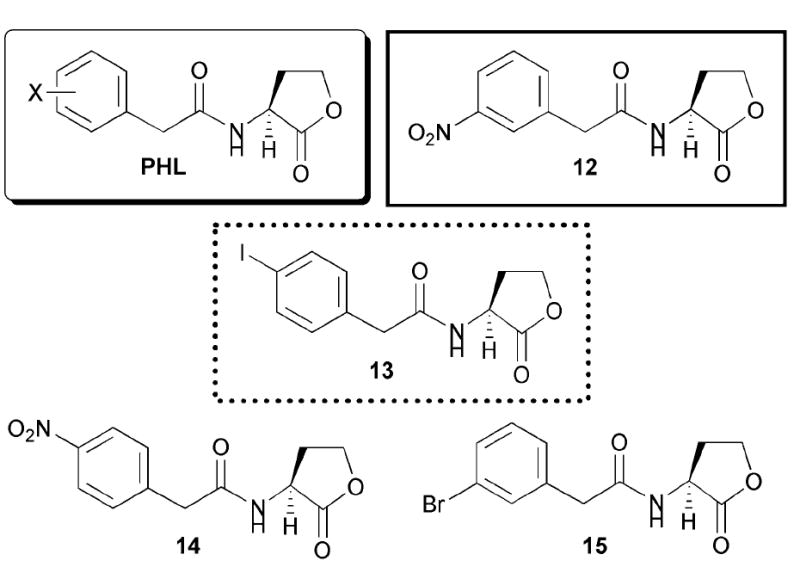 Fig. 10