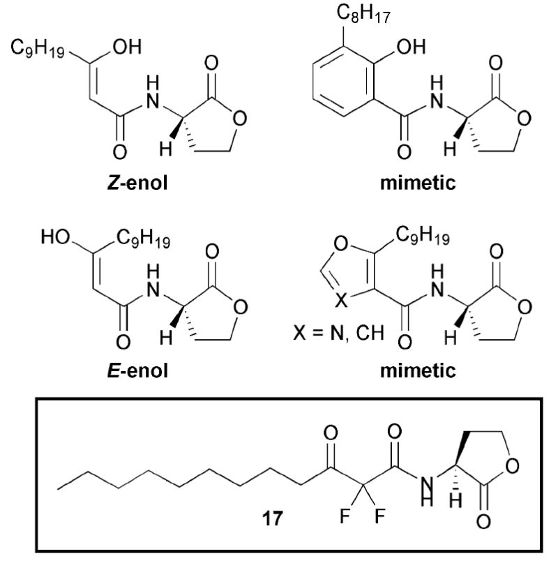 Fig. 12