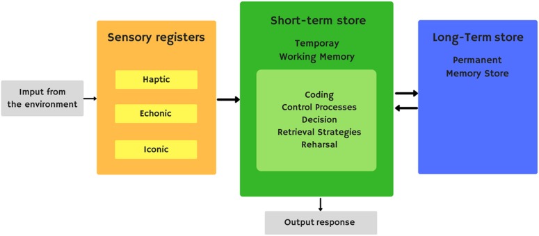 FIGURE 1