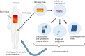 Fig. 6.