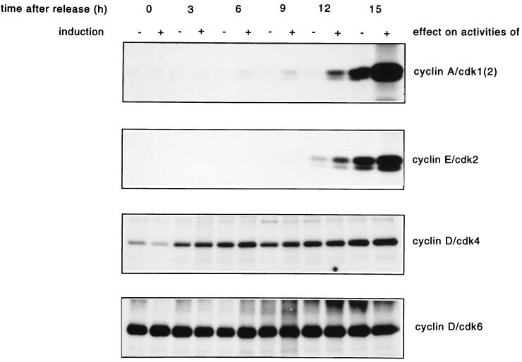 FIG. 8