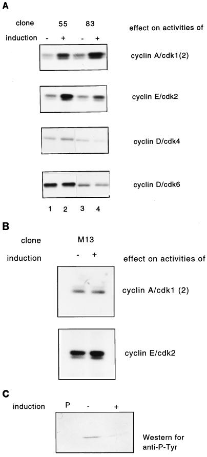 FIG. 7