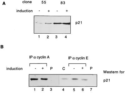 FIG. 9