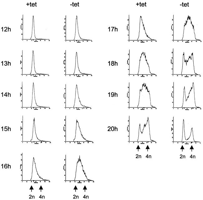 FIG. 6