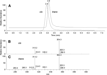 Fig. 8.