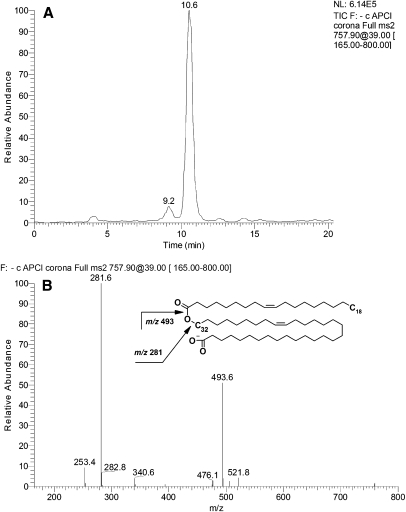 Fig. 12.