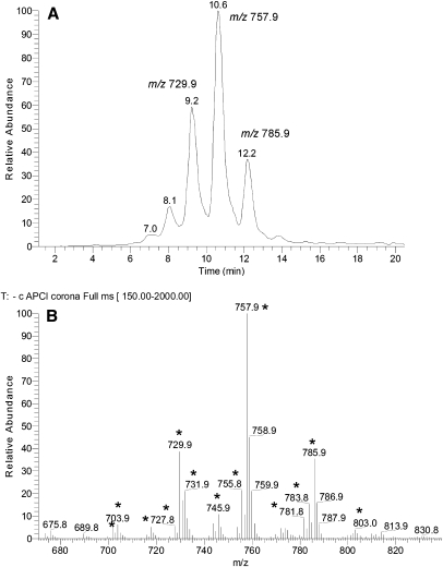 Fig. 11.