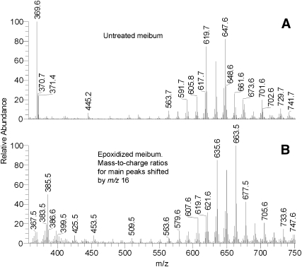 Fig. 10.