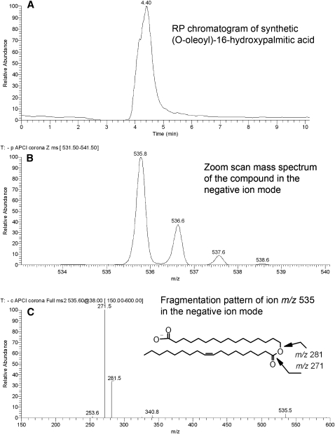 Fig. 13.