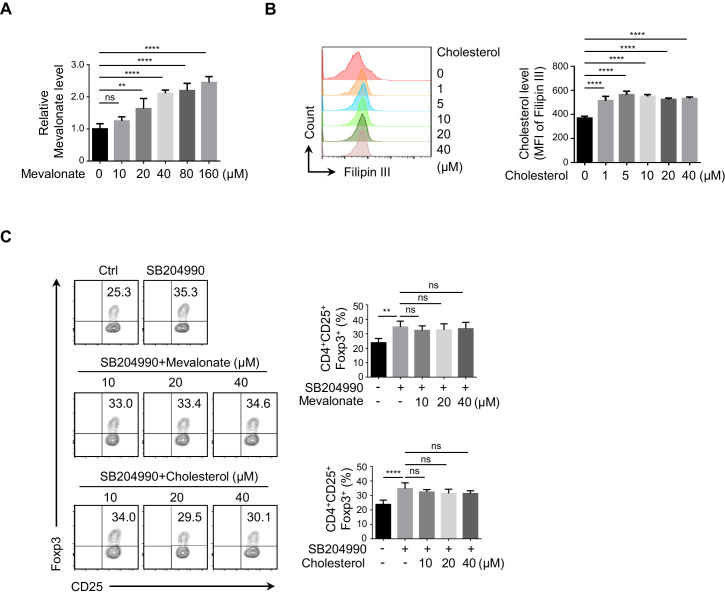 Figure 2—figure supplement 2.