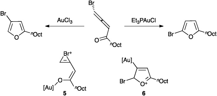 Scheme 5