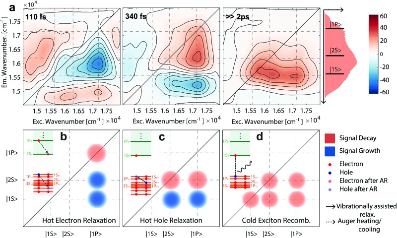 Fig. 3