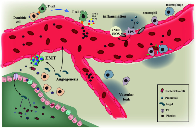 Figure 5