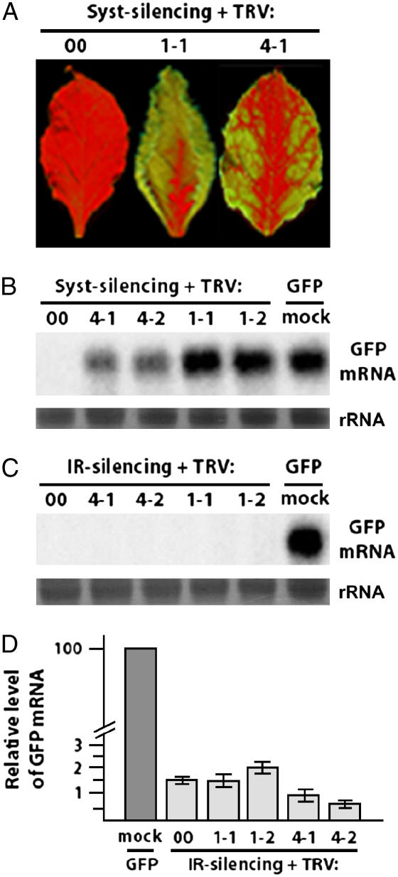 Figure 2.