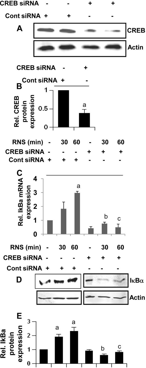 FIGURE 11.