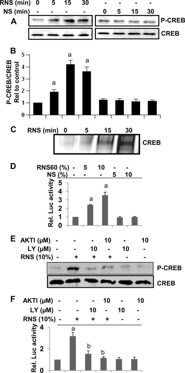 FIGURE 10.