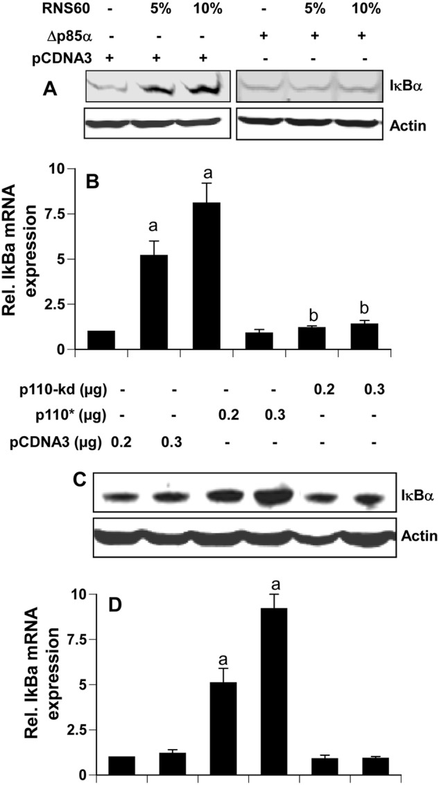 FIGURE 9.