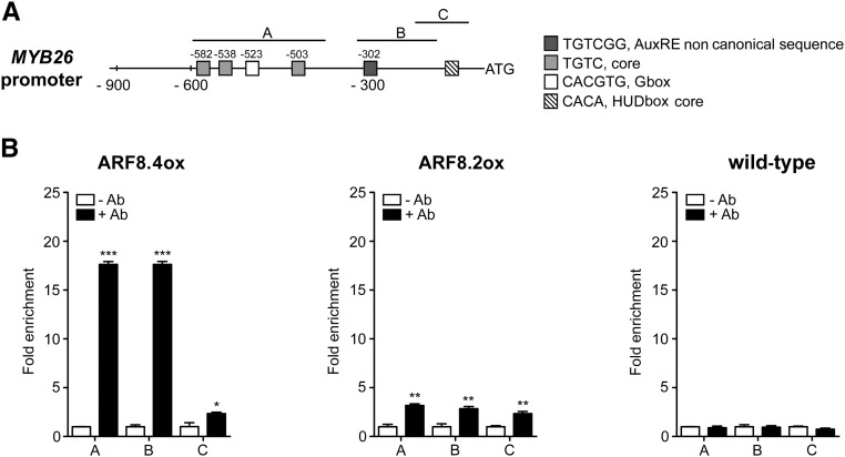 Figure 7.