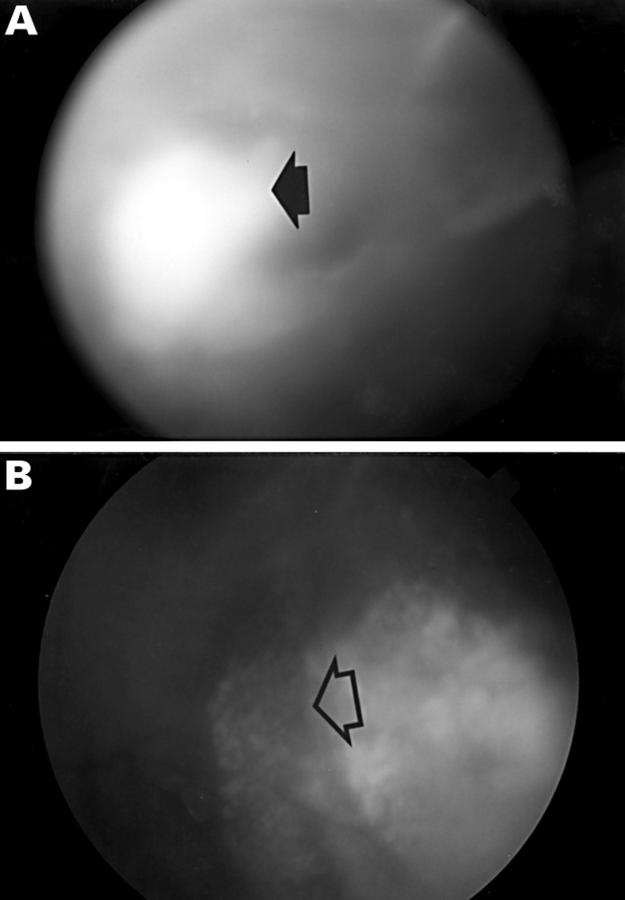 Figure 1  