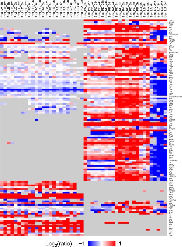 Fig. 4.