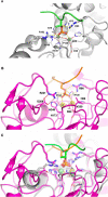 Fig. 2:
