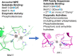 Image, graphical abstract