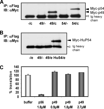 FIG. 1.