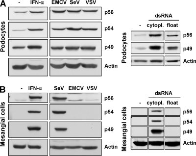 FIG. 6.