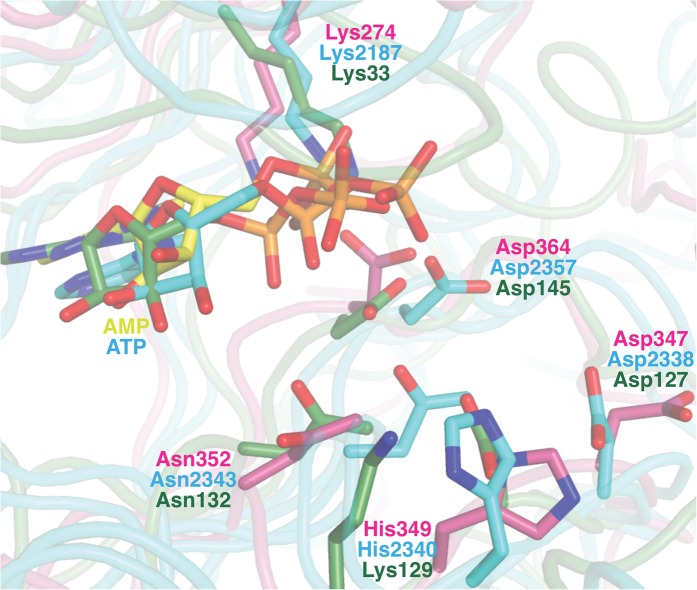 Figure 3—figure supplement 2.