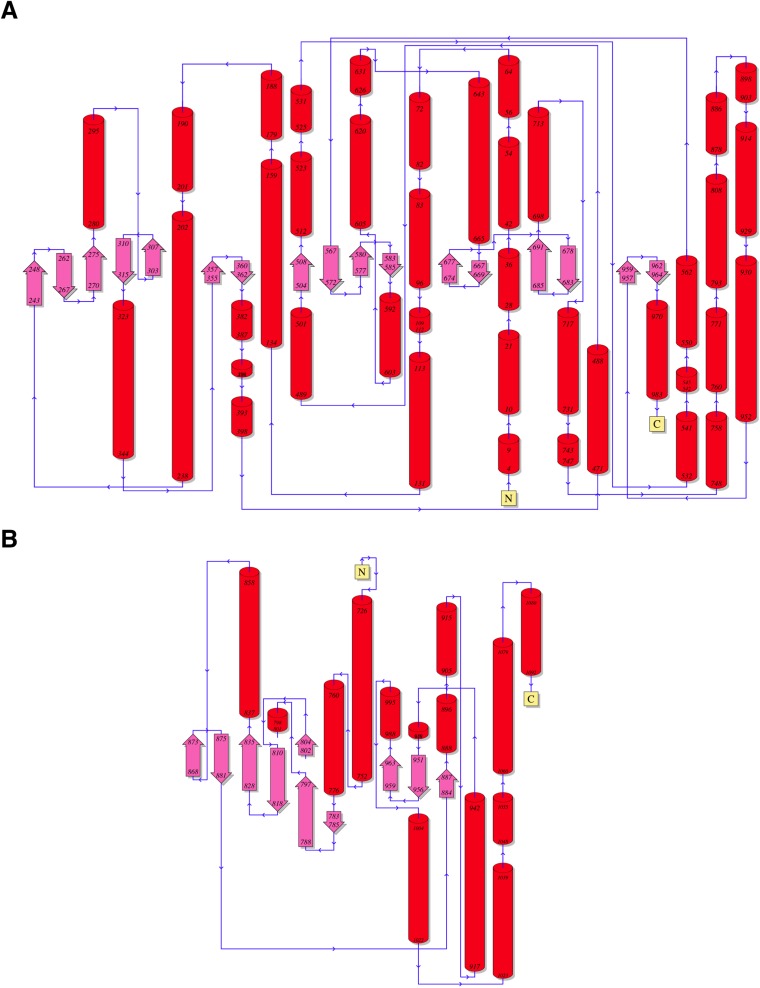 Figure 2—figure supplement 2.