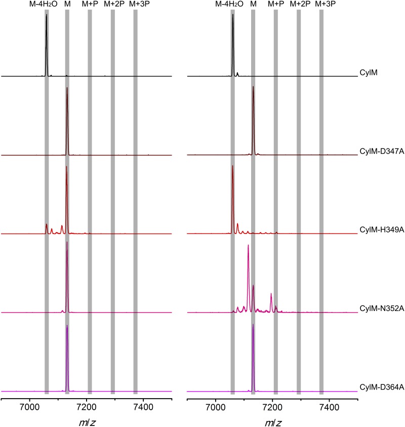 Figure 5—figure supplement 1.