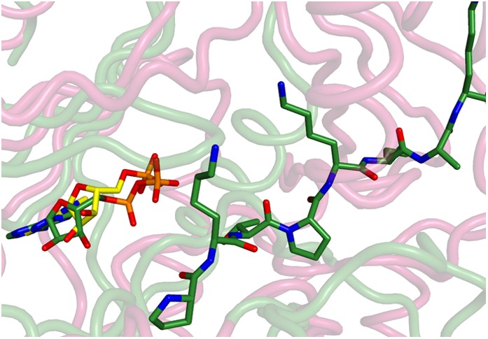 Figure 3—figure supplement 3.