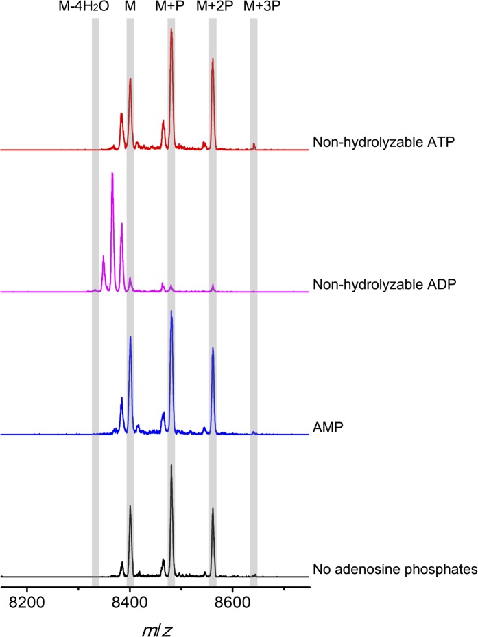 Figure 6.