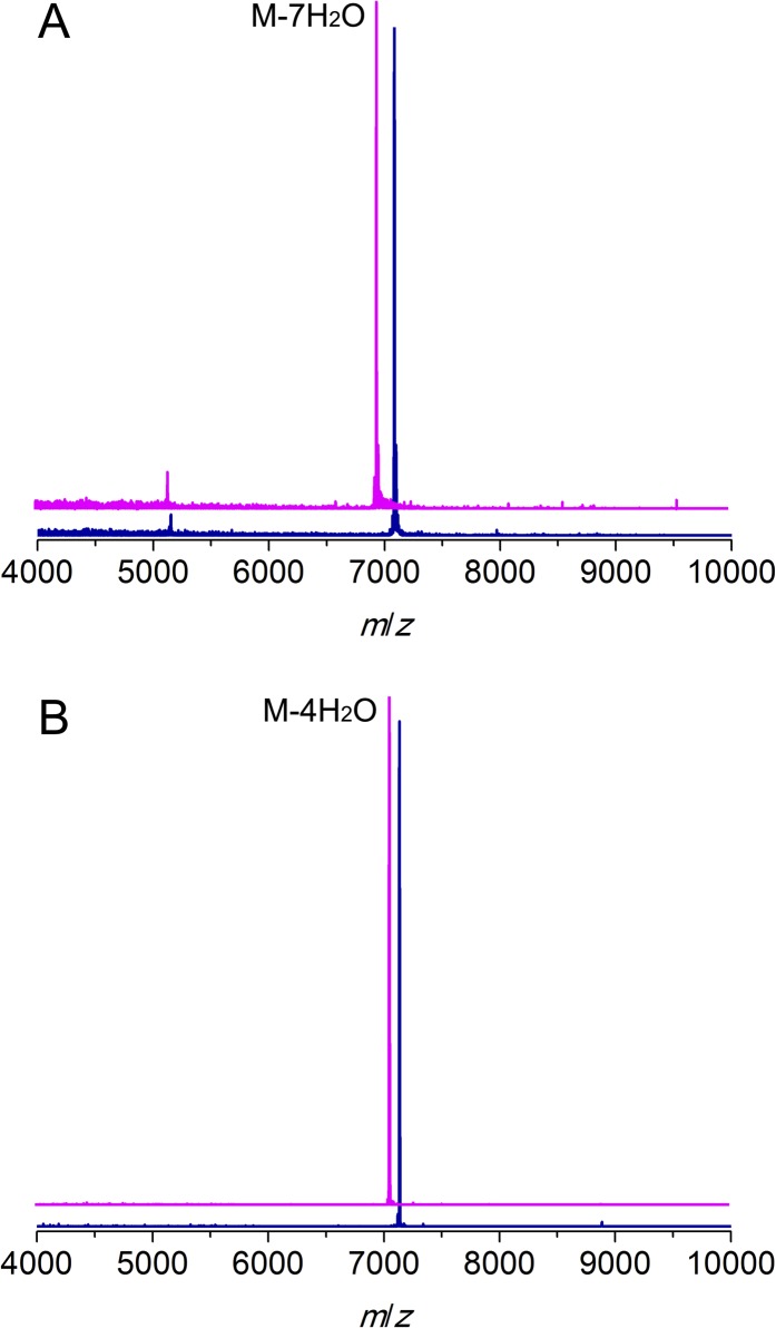 Figure 1—figure supplement 1.