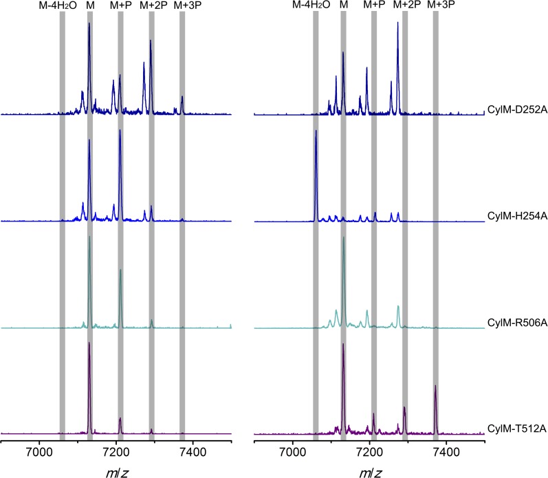 Figure 5—figure supplement 2.