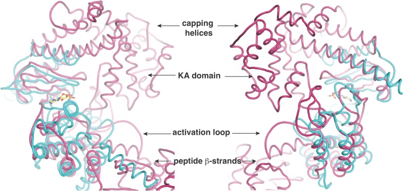 Figure 3—figure supplement 1.