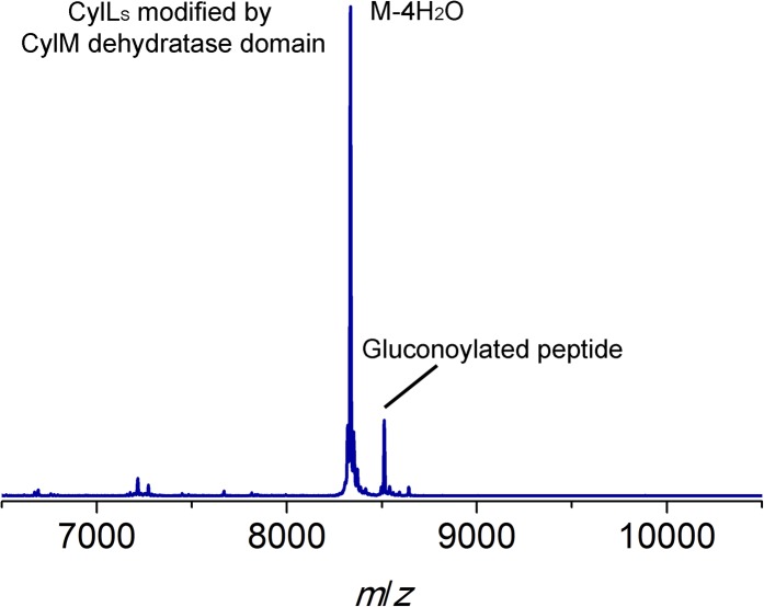 Figure 2—figure supplement 1.