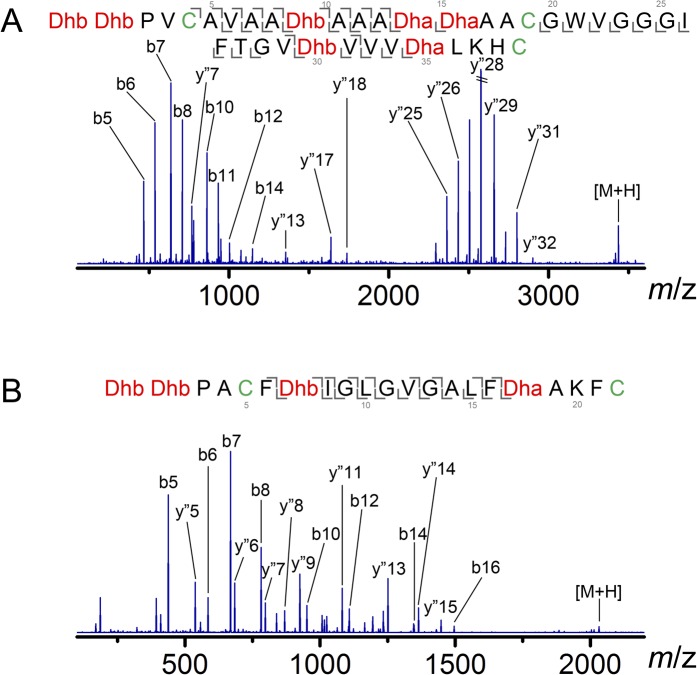 Figure 1—figure supplement 2.