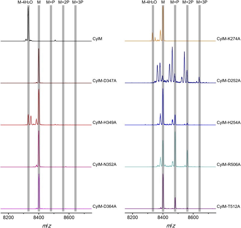 Figure 5.