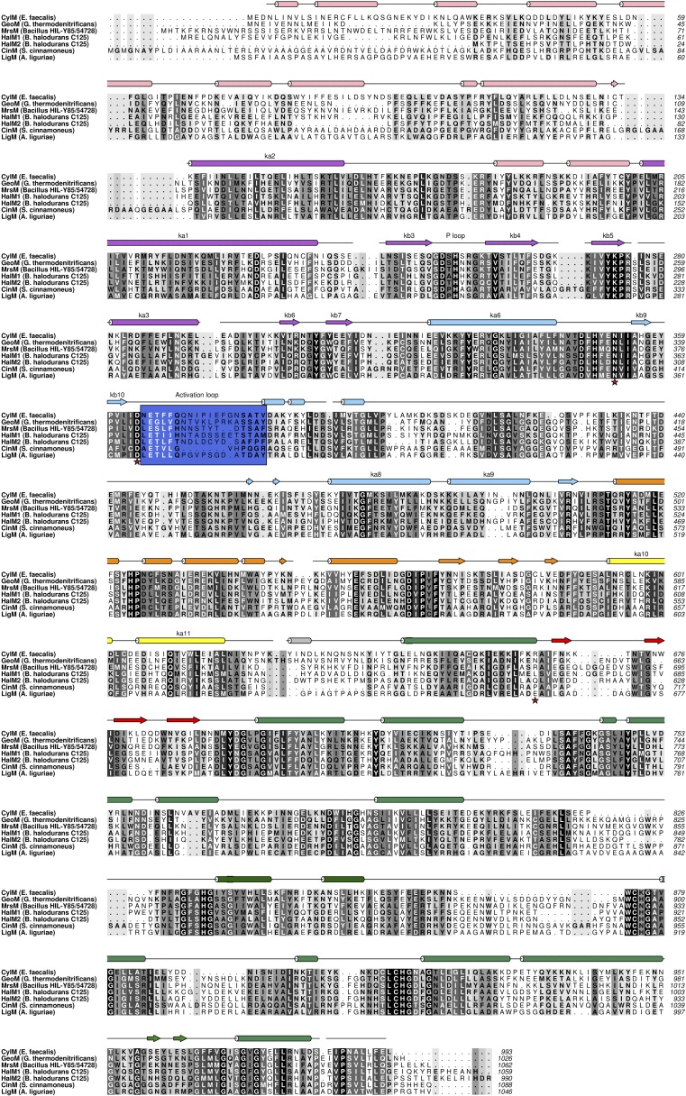 Figure 2—figure supplement 3.