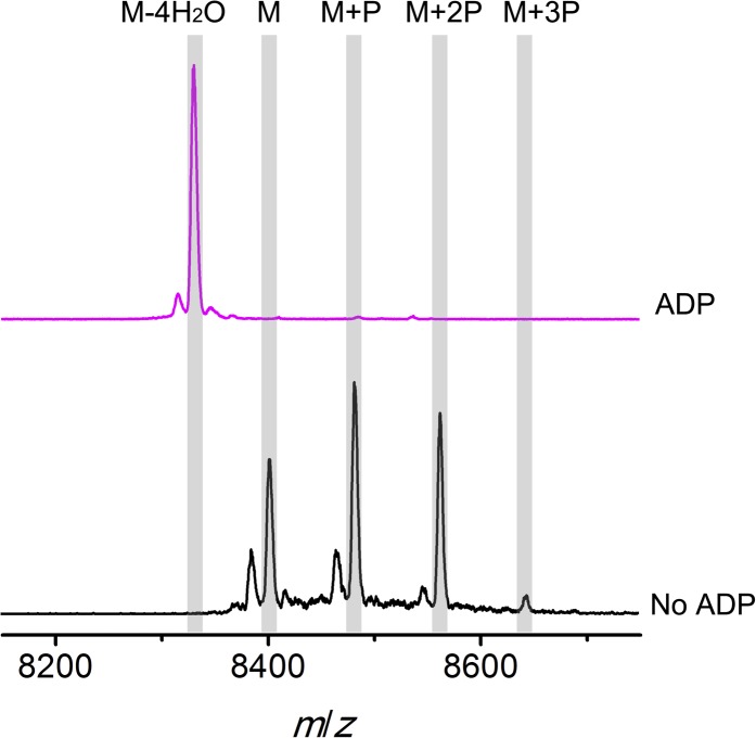 Figure 6—figure supplement 2.