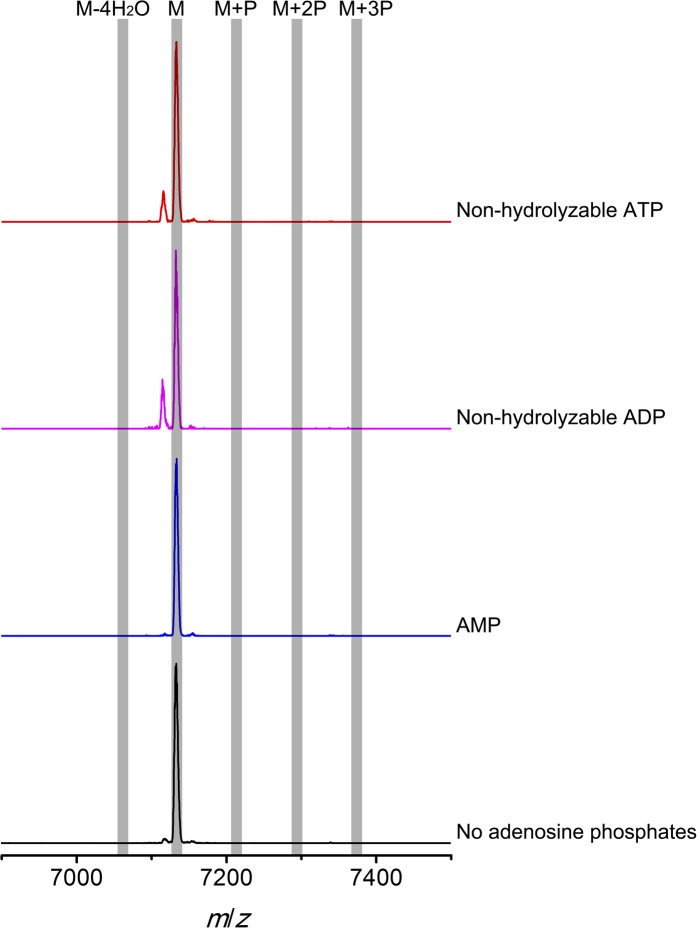 Figure 6—figure supplement 1.