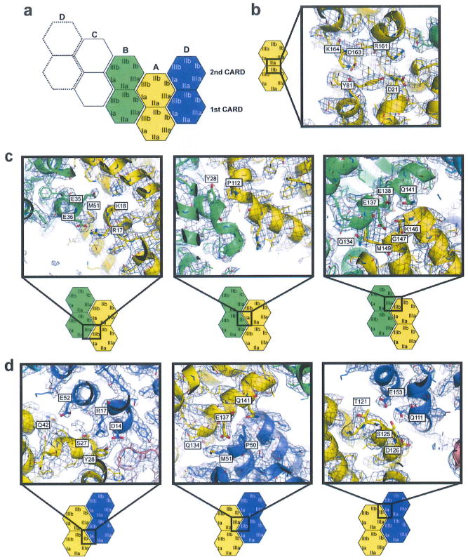 Extended Data Figure 4