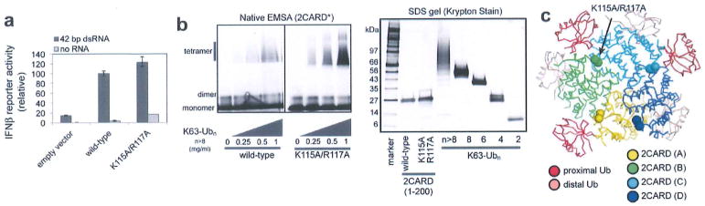 Extended Data Figure 1